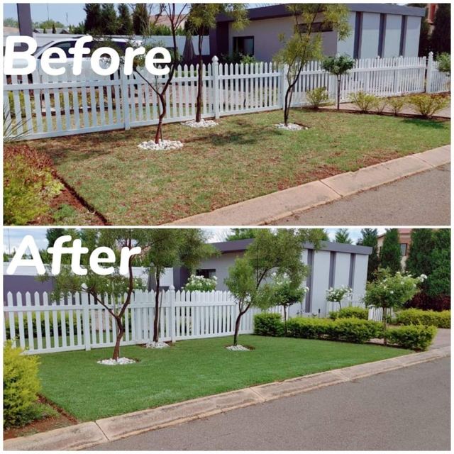Front lawn before and after treatment
