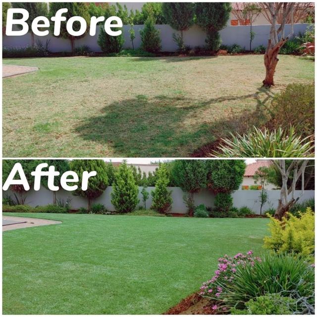 Back lawn before and after treatment