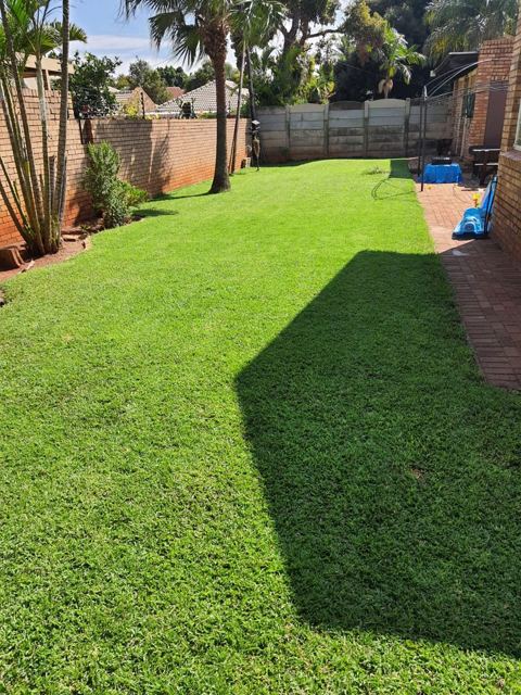 Green backyard lawn