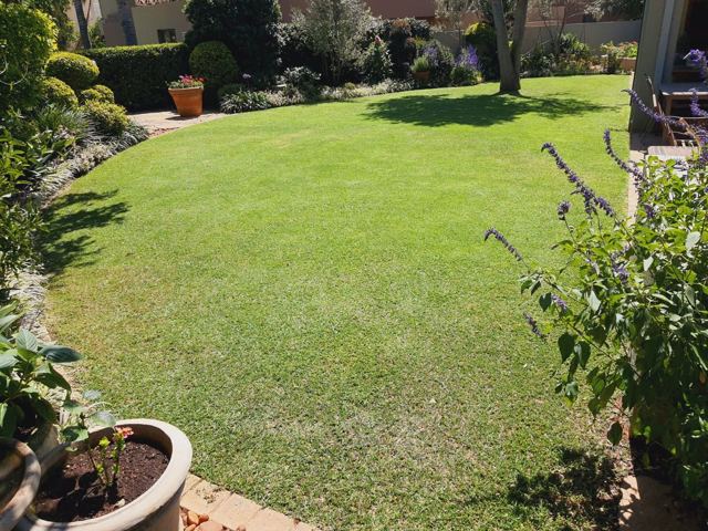 Lush green garden lawn
