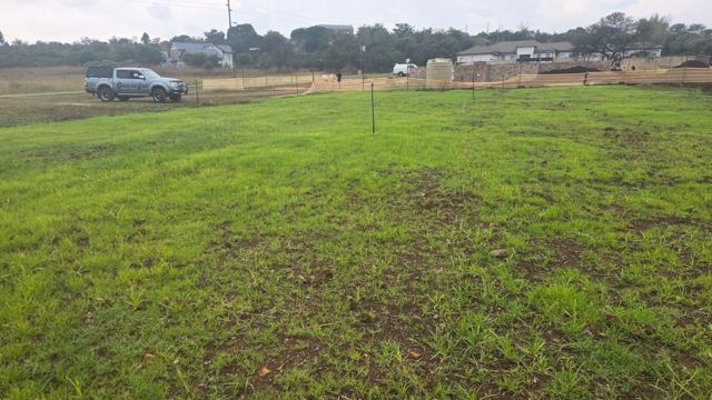 Newly established lawn